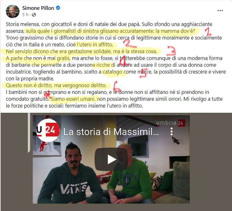 Un senatore, tredici righe, sei errori gravi.