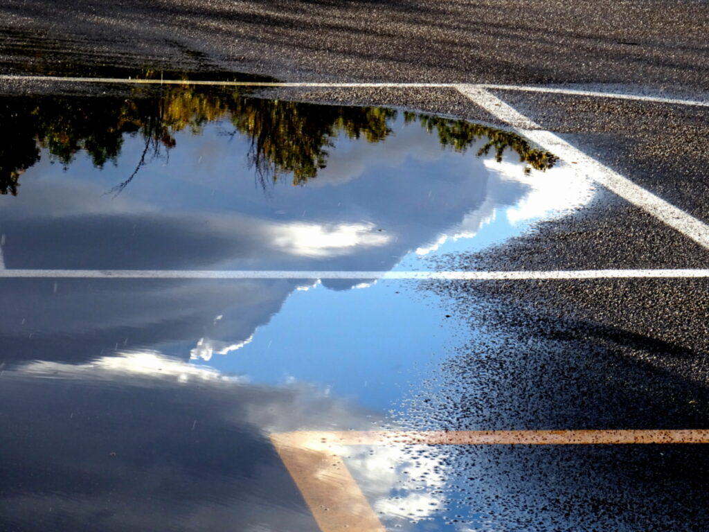 stampa rassegnata 26/31.1.2026