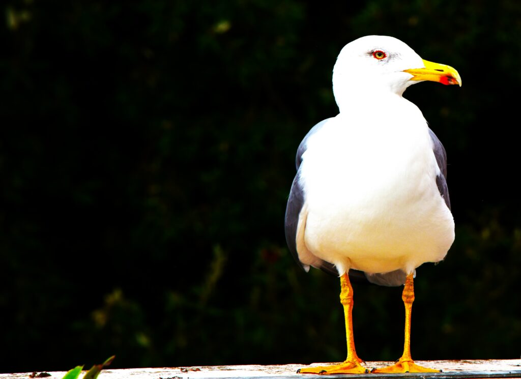 Stampa Rassegnata 1-6 Marzo 2026
